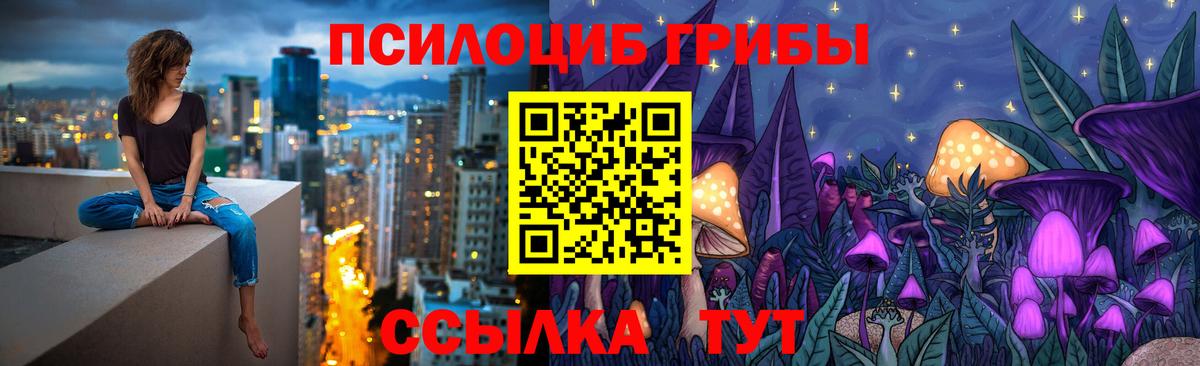 Соль-Илецк  Псилоцибиновые грибы Psilocybe  Галлюциногенные грибы Psilocybe  Вход с VPN 