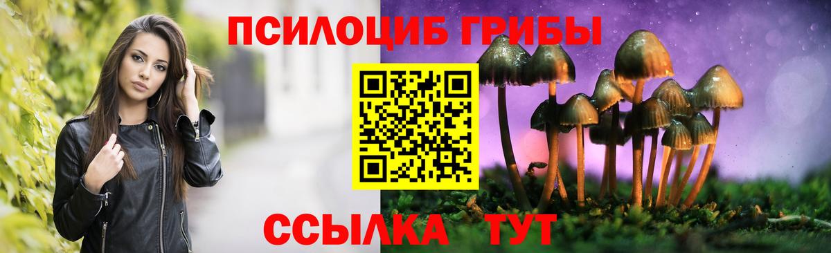 Галлюциногенные грибы Psilocybine cubensis Соль-Илецк